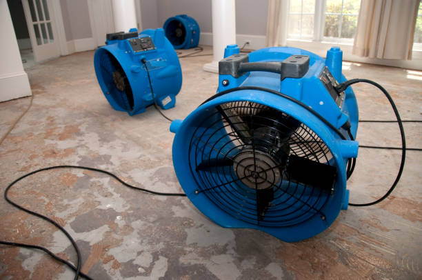 Best Professional water damage repair  in Grove City, OH