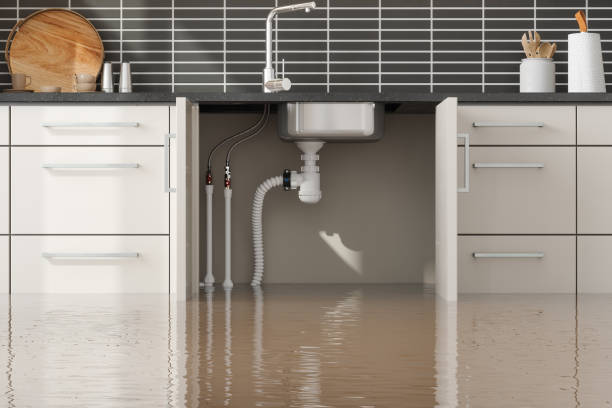 Best Local water damage restoration  in Grove City, OH
