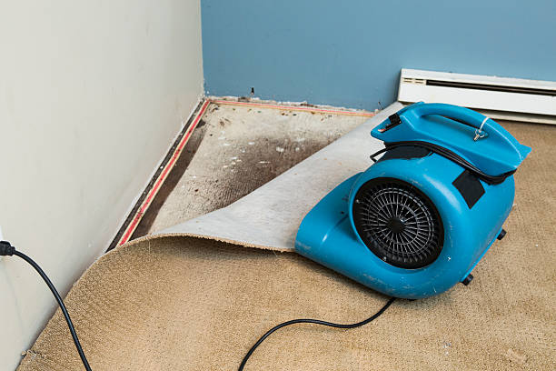 Best Professional water damage repair  in Grove City, OH
